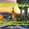 La Majestuosa Historia y Arte del Santuario Sagrado de Fatima Masuma (P) – Parte 1