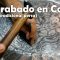El arte en el período islámico – El Grabado en Cobre (Qalamzani) – El arte tradicional persa