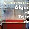 El arte en el período islámico – Algodón, Hilos y Tejeduría de Zilu – El Arte Persa de Zilubafi