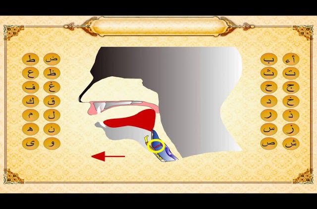 Lecciones de lectura del árabe y Corán (25) – Salida de letras en la boca