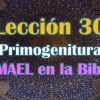 Clase 30, La Primogenitura de ISMAEL en la Biblia, 1° Parte, Sheij Qomi