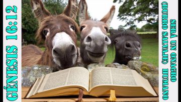 Clase 32, Burro Salvaje en la Biblia, Primogenitura de ISMAEL, 3° Parte, Sheij Qomi