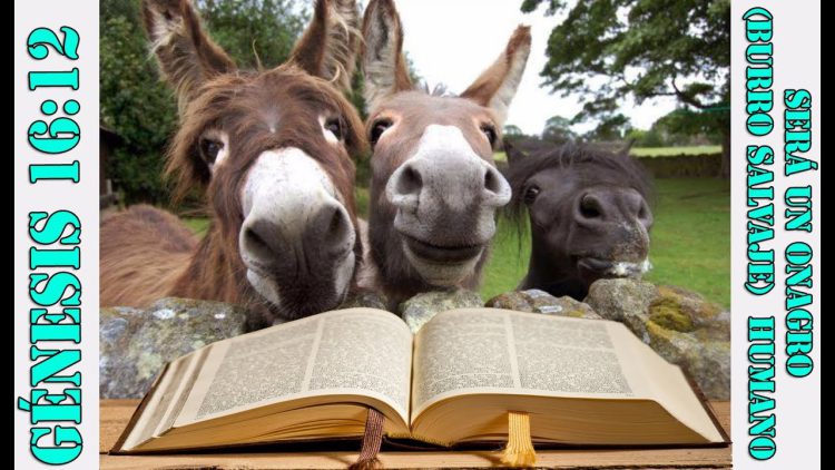 Clase 32, Burro Salvaje en la Biblia, Primogenitura de ISMAEL, 3° Parte, Sheij Qomi