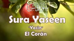 El Corán, Sura Yasin – Sura Yaseen, Sub. ES / EN, سورة یاسین, Mishary Alafasy
