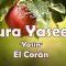 El Corán, Sura Yasin – Sura Yaseen, Sub. ES / EN, سورة یاسین, Mishary Alafasy