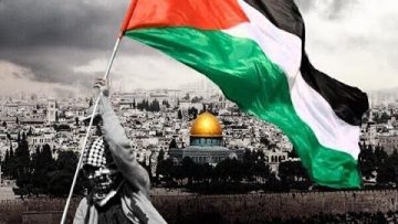 Gente de Qom invade las calles por palestina  | Ayatollah Mohsen Rabbani