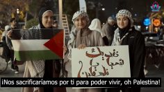 Palestina es mi país  | Himno musical