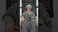 Curación de un hijo que tenía cáncer, y un hadiz del Imam Reza (P) – Ver explicaciones