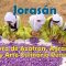 Jorasán; Tierra de Azafrán, Agracejo y Arte Culinario Persa