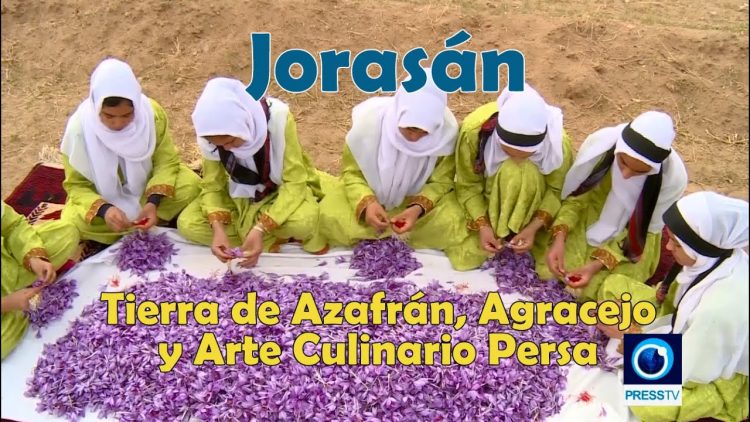 Jorasán; Tierra de Azafrán, Agracejo y Arte Culinario Persa