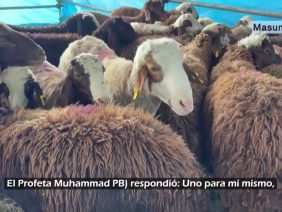 Eid al-Adha (en árabe: عيد الأضحى, en español: Fiesta del Sacrificio)