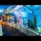 💎 Un acuario magnífico en el puerto de Anzali